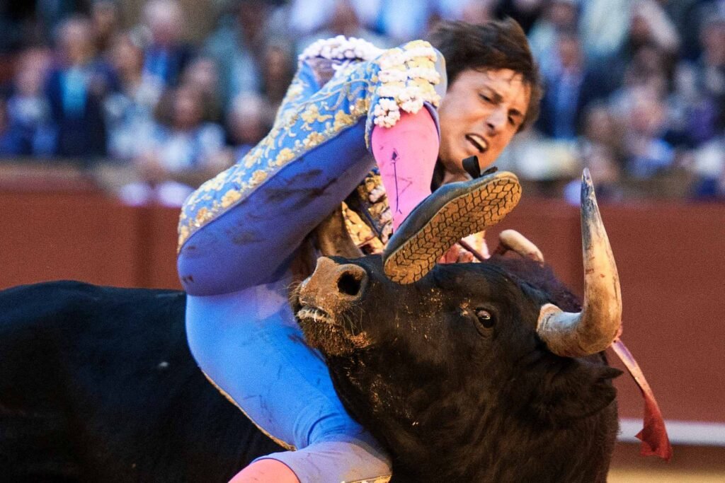 Roca Rey cornada Sevilla