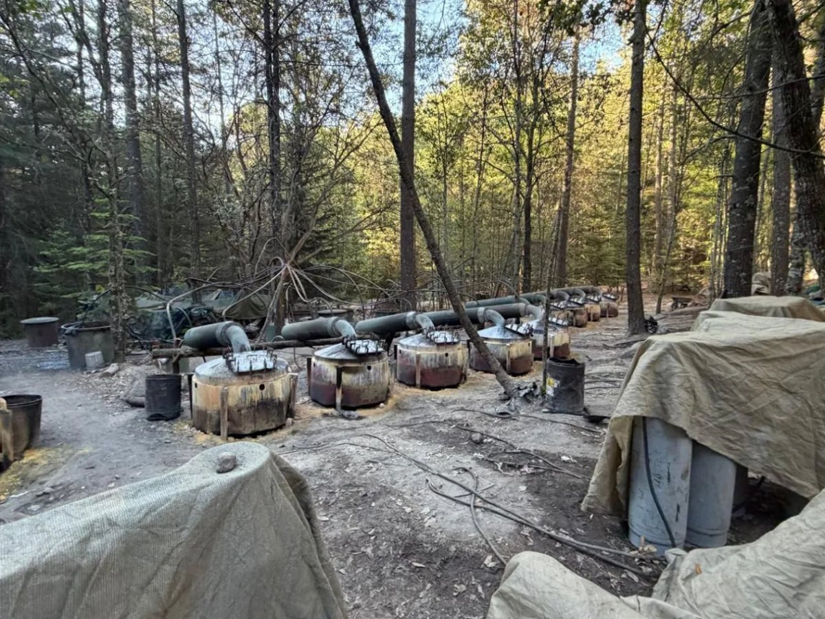 Sheinbaum agentes EU Chihuahua