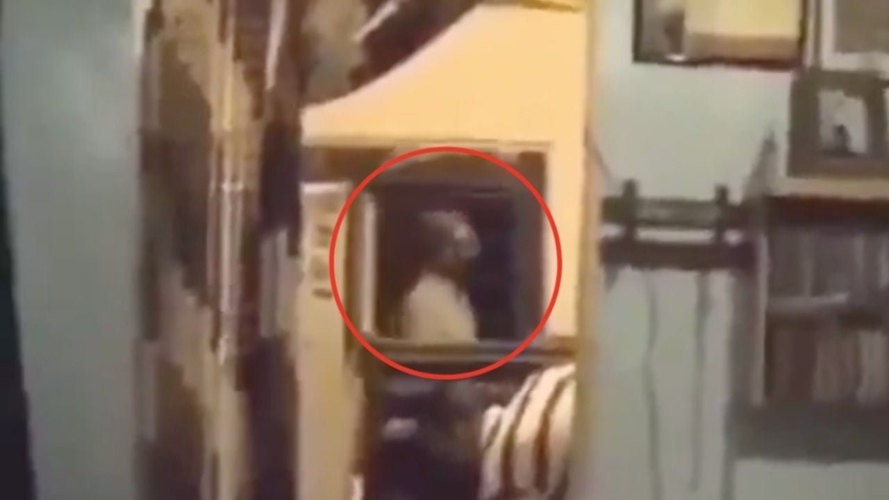 video paranormal viral