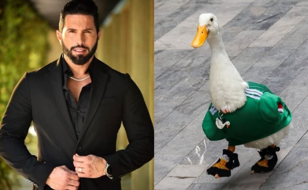 Pato Merlín Poncho de Nigris