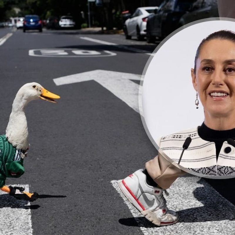Pato Merlín Sheinbaum Mundial 2026