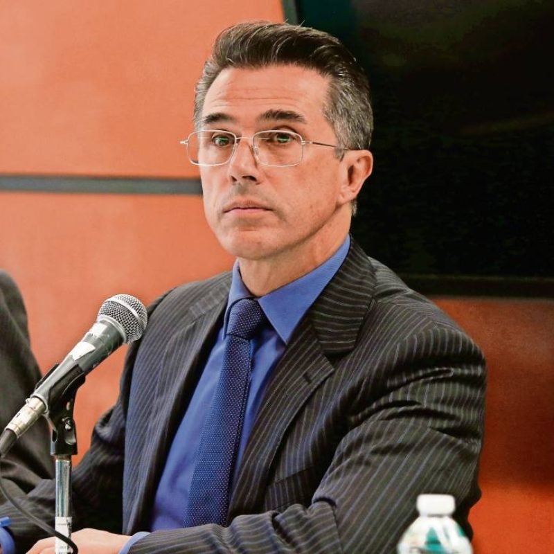 reforma licencias diputados