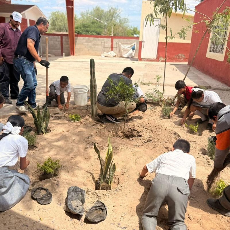 Medio Ambiente refuerza proyecto de jardines polinizadores en escuelas