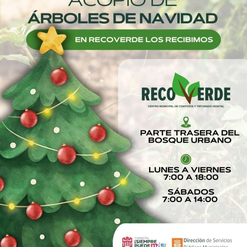 Programa Recoverde transforma los pinos navideños naturales en acolchado vegetal
