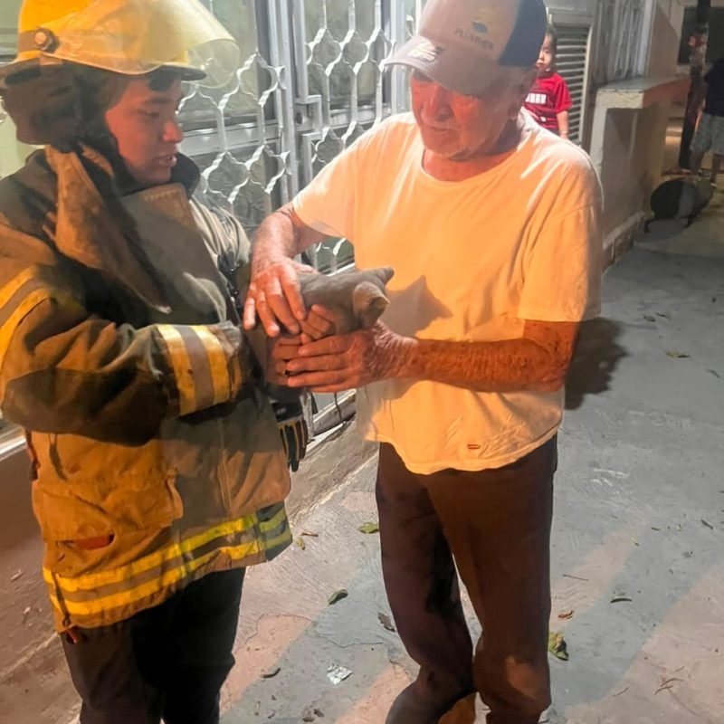 Protección Civil y Bomberos ha atendido más de 220 rescates de animales en lo que va del 20262