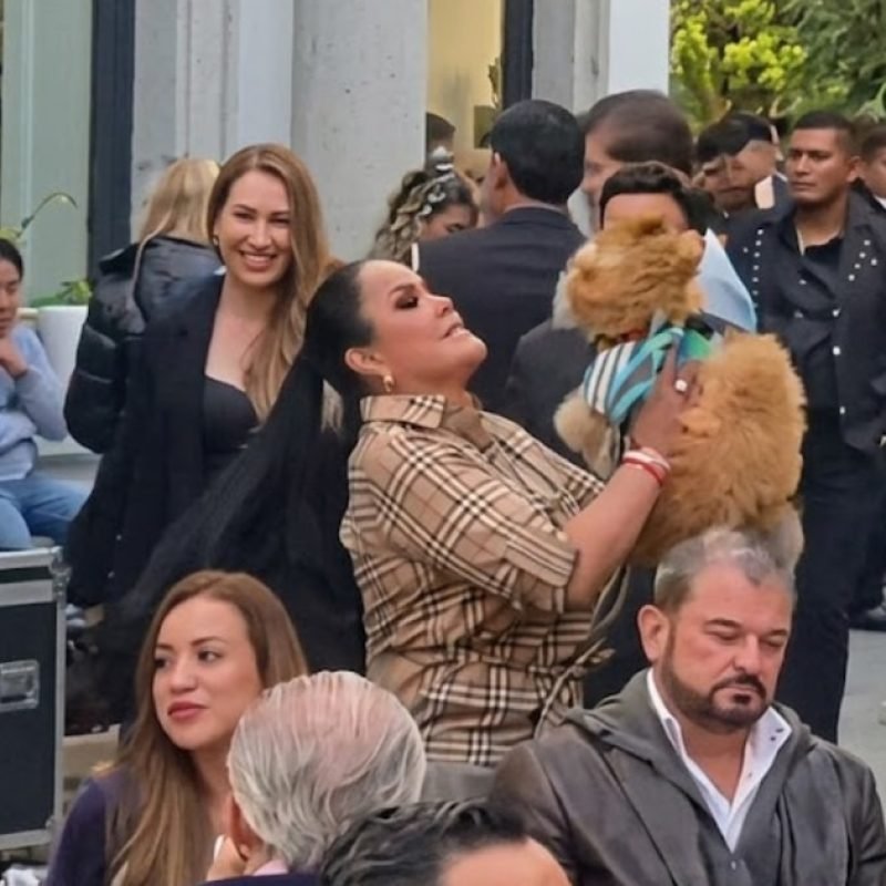 Maltrato animal Mariana Gutiérrez