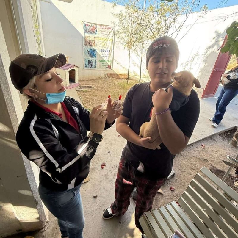 Salud Municipal impulsa la tenencia responsable de mascotas y la prevención de enfermedades zoonóticas