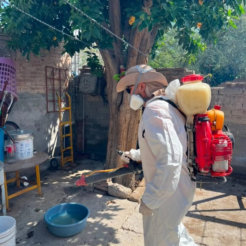 Salud Pública Municipal intensifica acciones de fumigación en colonias y escuelas de Torreón