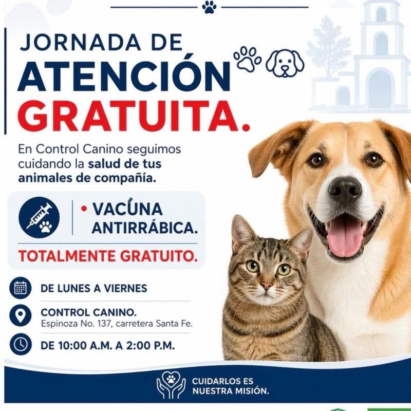 Mantienen jornada gratuita de vacunación antirrábica