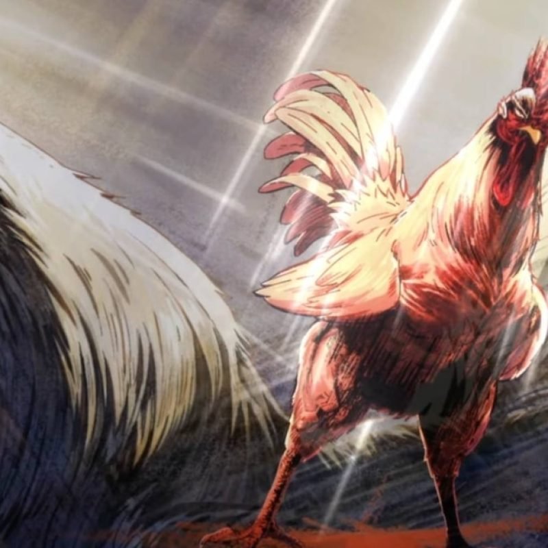 Rooster Fighter anime