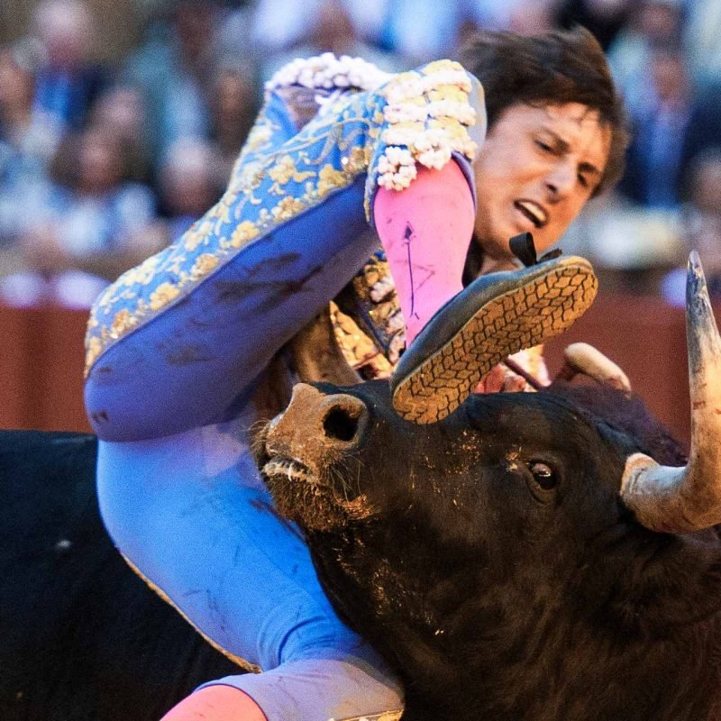 Roca Rey cornada Sevilla