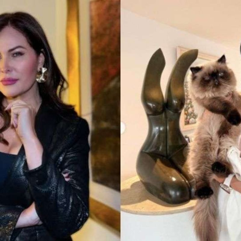 famosas-aplauden-taxista-que-salvo-menor-de-su-agresor