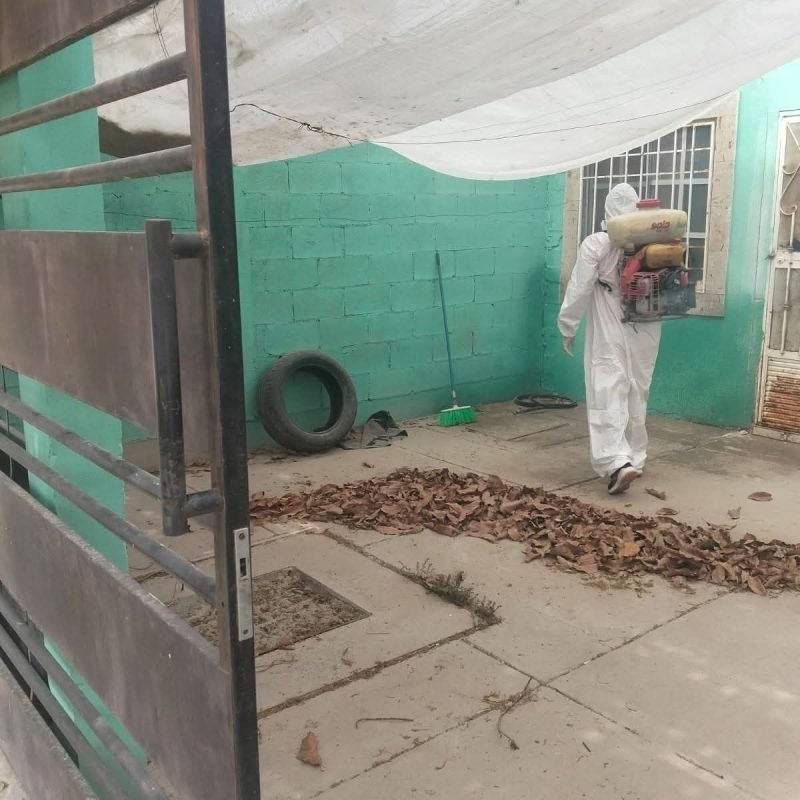 fumigacion-torreon-1