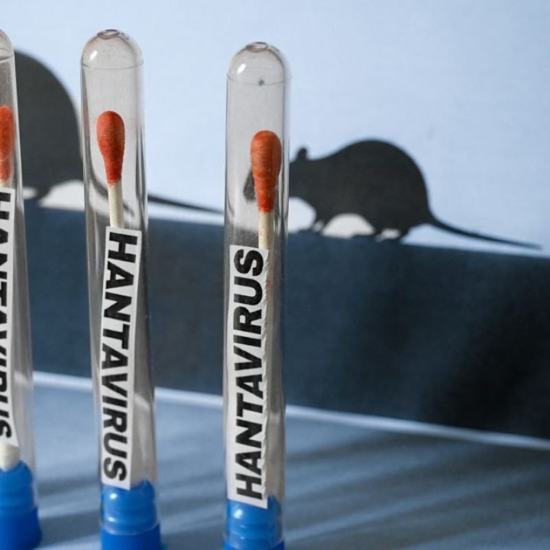 hantavirus