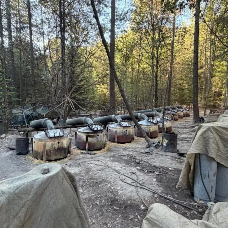 Sheinbaum agentes EU Chihuahua